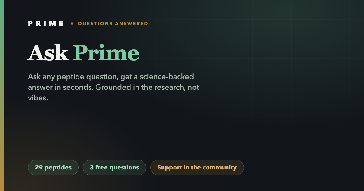 Ask Prime cover